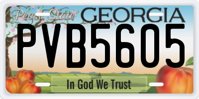 GA license plate PVB5605