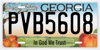 GA license plate PVB5608