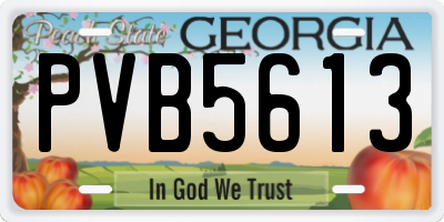 GA license plate PVB5613