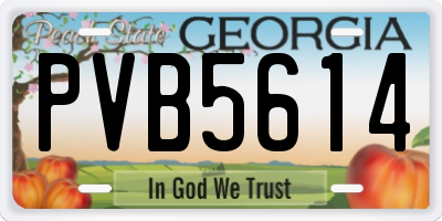 GA license plate PVB5614