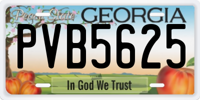 GA license plate PVB5625