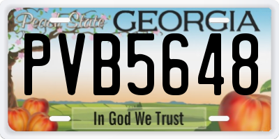 GA license plate PVB5648