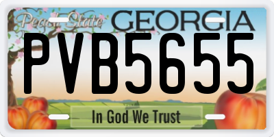 GA license plate PVB5655