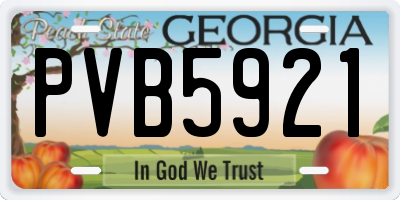 GA license plate PVB5921