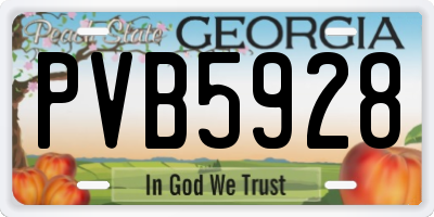 GA license plate PVB5928