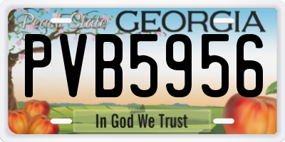 GA license plate PVB5956