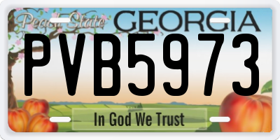 GA license plate PVB5973