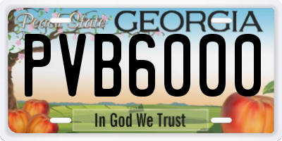 GA license plate PVB6000
