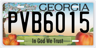 GA license plate PVB6015