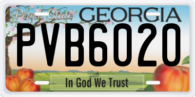 GA license plate PVB6020