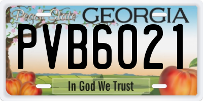 GA license plate PVB6021