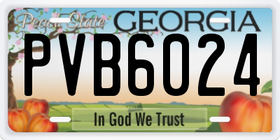 GA license plate PVB6024
