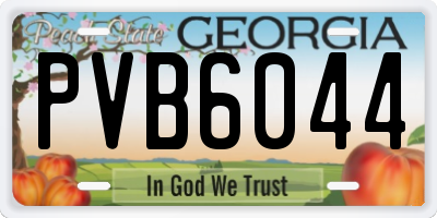 GA license plate PVB6044