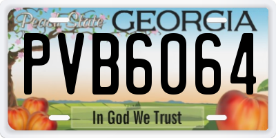 GA license plate PVB6064