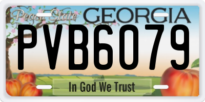 GA license plate PVB6079