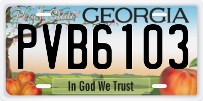 GA license plate PVB6103