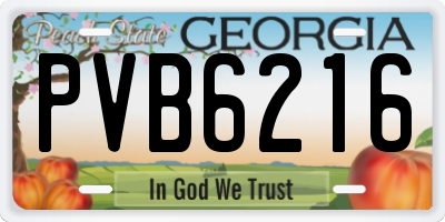 GA license plate PVB6216
