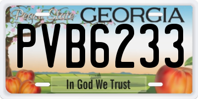 GA license plate PVB6233