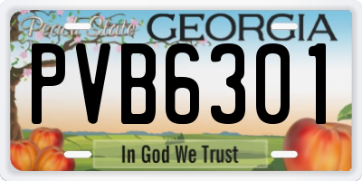 GA license plate PVB6301
