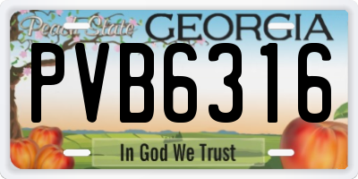 GA license plate PVB6316