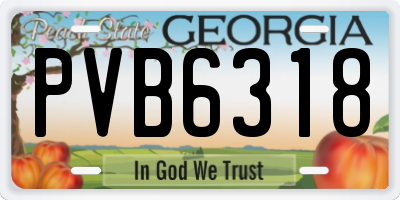 GA license plate PVB6318