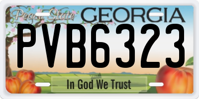 GA license plate PVB6323