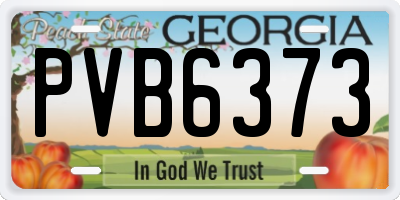 GA license plate PVB6373