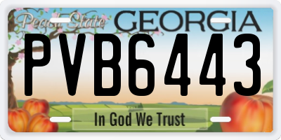 GA license plate PVB6443