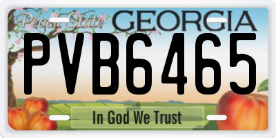 GA license plate PVB6465