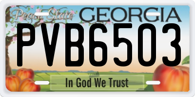 GA license plate PVB6503