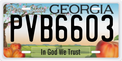GA license plate PVB6603