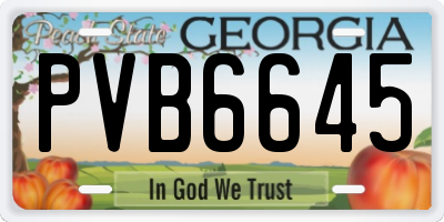 GA license plate PVB6645