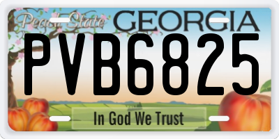 GA license plate PVB6825