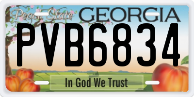 GA license plate PVB6834