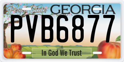 GA license plate PVB6877