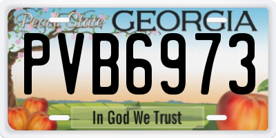 GA license plate PVB6973