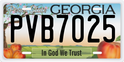 GA license plate PVB7025