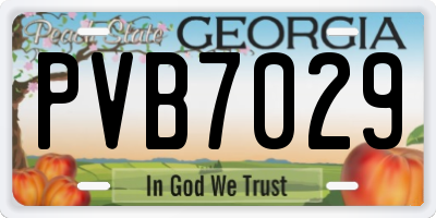 GA license plate PVB7029