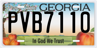 GA license plate PVB7110