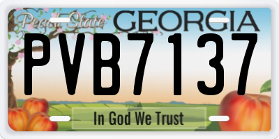 GA license plate PVB7137