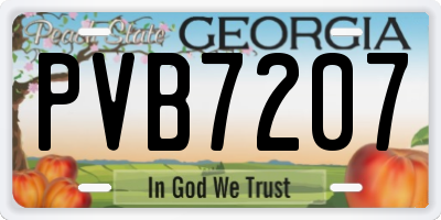 GA license plate PVB7207
