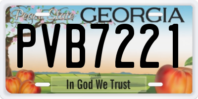 GA license plate PVB7221