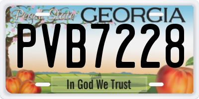 GA license plate PVB7228