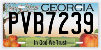 GA license plate PVB7239
