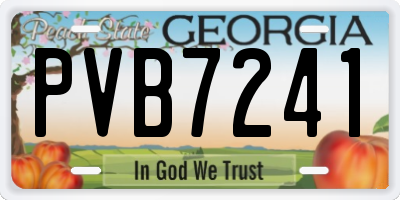 GA license plate PVB7241