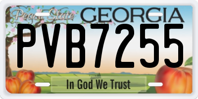 GA license plate PVB7255