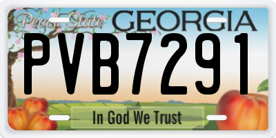 GA license plate PVB7291
