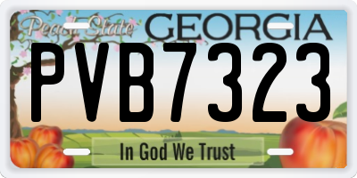 GA license plate PVB7323