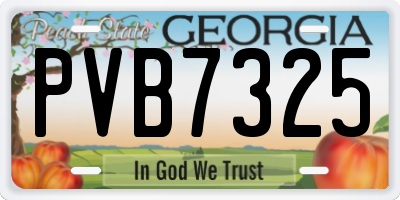 GA license plate PVB7325