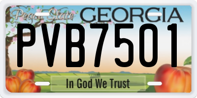 GA license plate PVB7501
